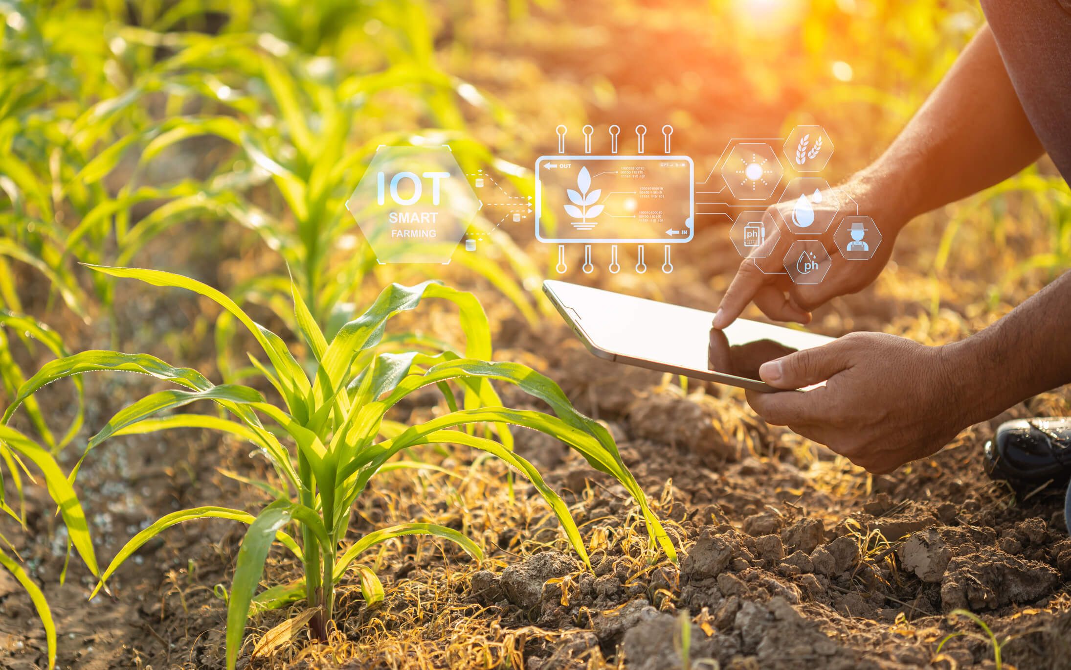 Agricultura 4.0