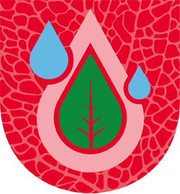 Imagen Destacada del Producto