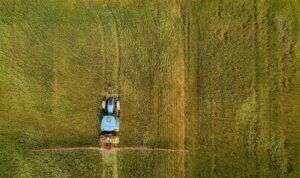 Nutrientes NPK plantas EN BC FERTILIS