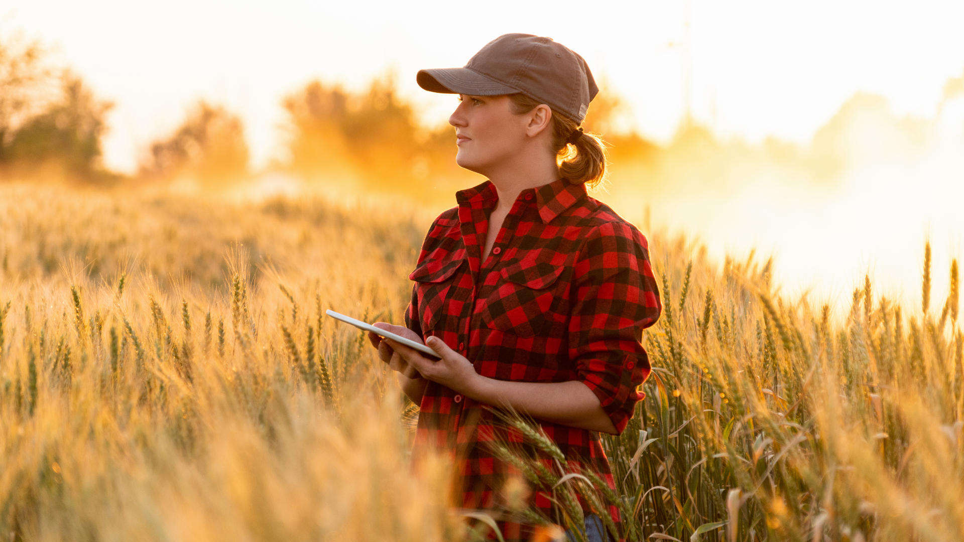 La agricultura extensiva es muy importante para la ecónomia de un pais